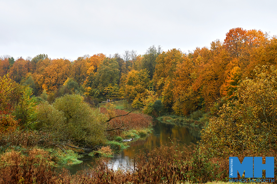 2025 10 12 priroda osen loshiczkij park davidovskaya 5 kopiya