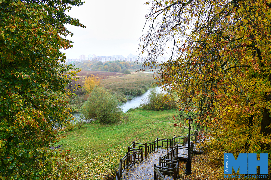 2025 10 12 priroda osen loshiczkij park davidovskaya 7 kopiya