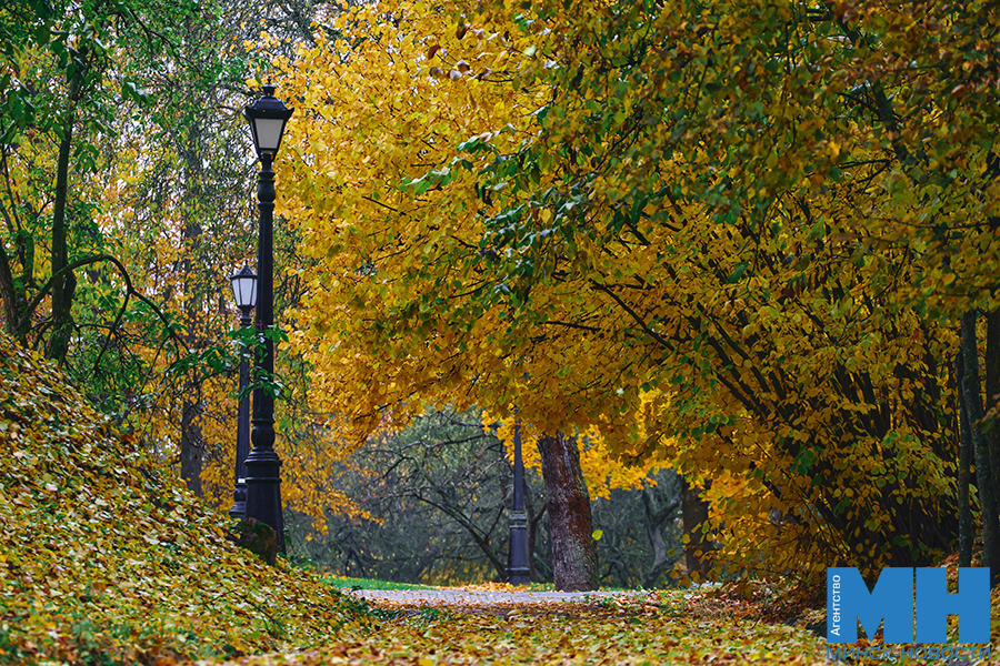 2025 10 12 priroda osen loshiczkij park davidovskaya 8 kopiya