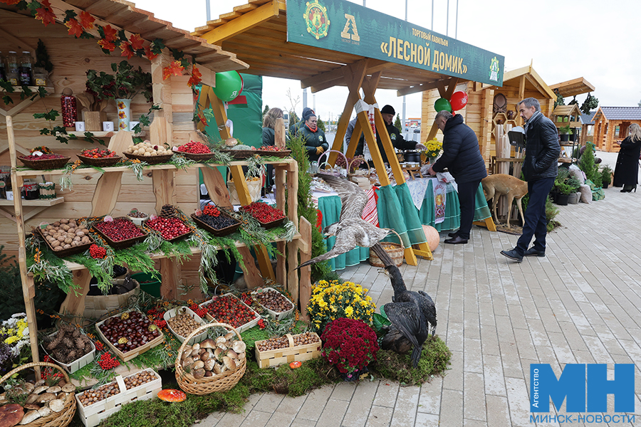 2025 10 15 proizvodstvo vystavka yarmarka lesdrevteh miczevich 1 kopiya