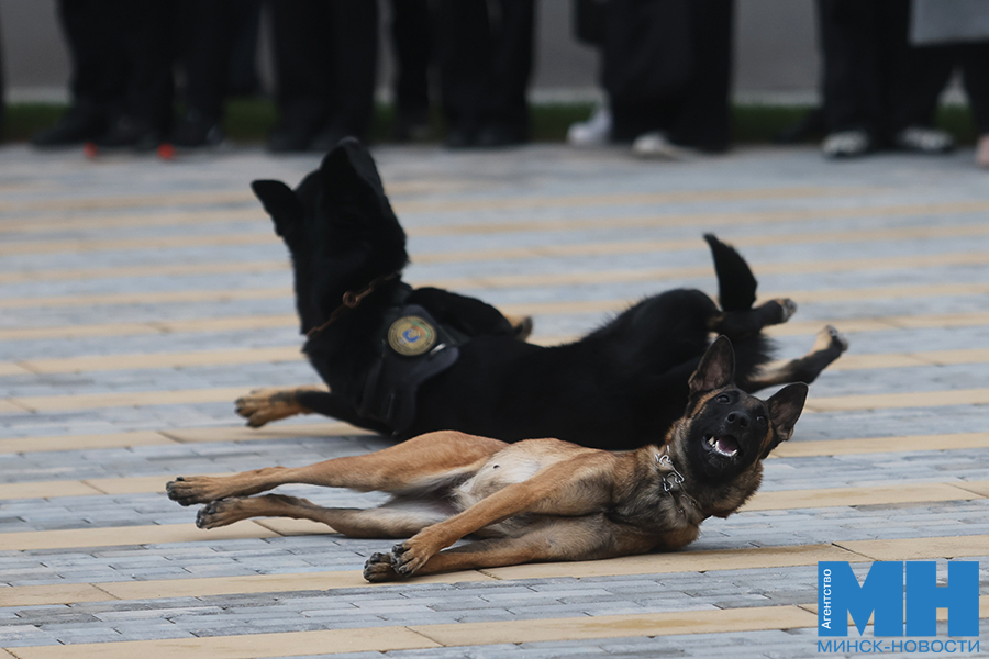 2025 10 15 siloviki den otkrytyh dverej guvd malinovskaya19 kopiya